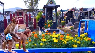 Sơn and BiBi decided to lay flowers on the graves in the cemetery.