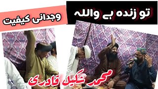 Beautiful Naat | Chamak Tujh Se Patay Hain. | Shakeel Qadri Attari | #naat #shorts