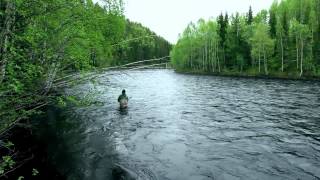 So Long, and Thanks for All the Fish - A salmon fishing story