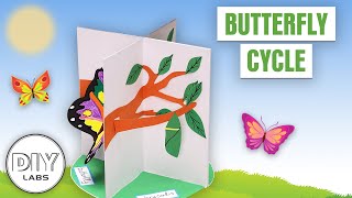 BUTTERFLY CYCLE | DIY Labs