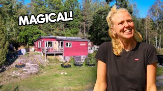 Family Life in Our Dream Cabin: The Renovation Begins!