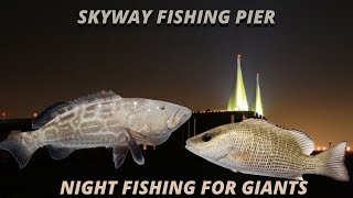 Skyway Fishing Pier Snapper And Grouper Night Fishing