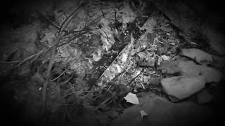 Burning My Homework YOUPEE