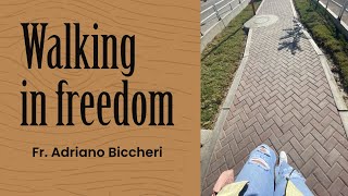 N 7 King David: Walking in freedom