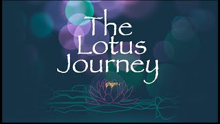 Ryan Marquez's The Lotus Journey Work Samples