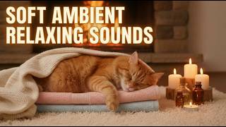 Cozy Cat Purring Sounds 🐱 Nighttime Comfort for Deep Sleep, Stress Relief, and Total Relaxation