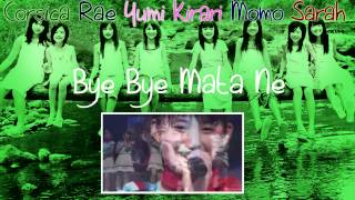 「歌ってみた」 Bye Bye Mata ne 《Pro! Chicks》