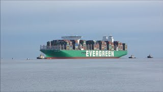 Ever Alp arrives to the Port of Felixstowe  4 tugs assist with a port swing  18th November 2024