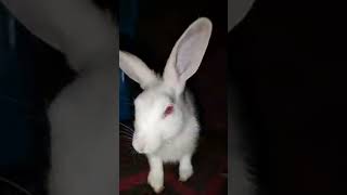 🥰 Cute 🥰 wy2 🥰 cute 🥰 memories 🥰🥰🥰