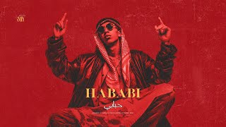 Hababi | حبابي | Arabic x Indian Psychedelic Funk Mix SNX