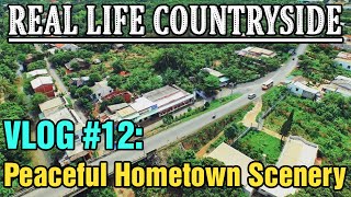 Real Life Countryside vlog 🌿 Vlog #12 |  Peaceful Hometown Scenery 🌾
