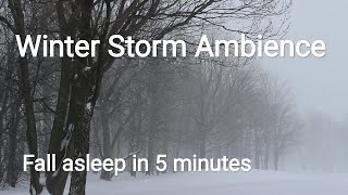 Winter Storm Ambience with Icy Howling Wind Sounds. Snowfall