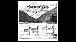 Kyle Alan Hobbs - Canadian Geese (Audio)