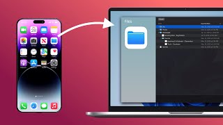 Transfer Files from iPhone to Windows PC | AltTunes 💾