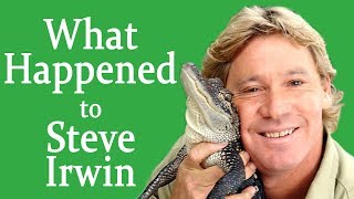 What happened to STEVE IRWIN?