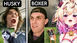 How Dog Breeds React To Robbers! | Rosiebellmoo Reacts
