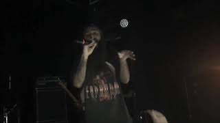 Flatbush Zombies: "Palm Trees" (Music Video to Live Performance)