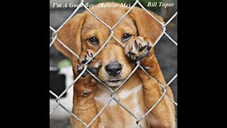 Bill Topor - "I'm A Good Boy"  (Rescue Me)