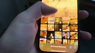 Apple ideas photos app 5