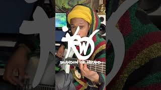 brandon the Wizard bass play through( song title fish)