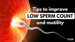 Sperm Ki Kami Ka Elaj | Sperm Barhana Ka Elaj | Active Sperm Barhana Ka Behtaren Dawa