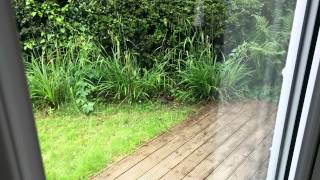 Did we see it was it really there - hedgehog chron