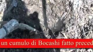 Bocashi, concimi organici fermentati e altri biofertilizzanti.