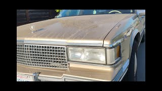 Car vlog with my nephews 1987 Cadillac headlight bulb replacement
