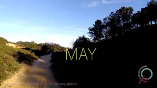 CfO Productions - May