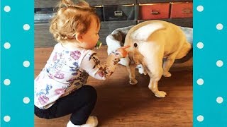 Adorable Babies Bullying Dogs - Dog Loves Baby ★ Funny Dogs