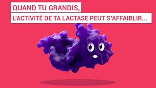 Milk Check : C’est vrai que certains adultes ne digèrent pas le lait ?