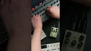 Strymon BRIG USB MIDI Synced with Ableton Live #strymon #prophet6