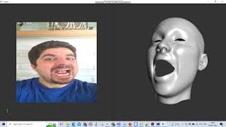 AlgoFace - 3D Facial Landmark Tracking with Face Animation (Digital Avatar Enablement)