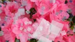 IRAJ, Gol-haye 526 "Arefaneh"(Esfahan) See Notes: