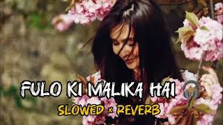 Fulo Ki Malika Hai🔥(slowed ❌ reverb) Atif Aslam Ali Cover New Song Aane Se Uske Aaye Bahar Lofi Mix