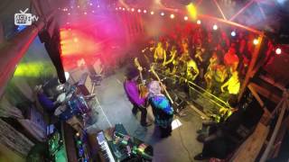 SpikeDrivers Live Wilderness Festival 2015