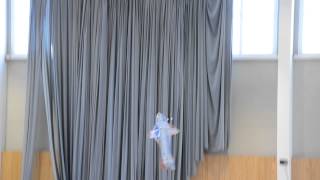 Slovak Indoor 31.1.2015 F3P Zdeno Bajer