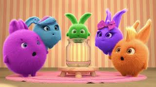 Sunny Bunnies - Hide and Seek Surprise! | WildBrain Nursery