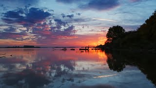 Illinois Nutrient Research & Education Counsel presents: Investment Insight LIVE! - Event highlight