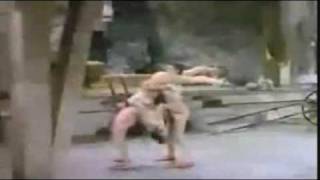 Flexible ~ Martin Mull