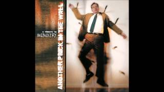 The Aliens - She's Got A Cause [Ministry Cover]