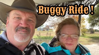 Buggy Ride