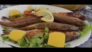 Restaurant Marij Blaz  -  Radozda, Struga 2018