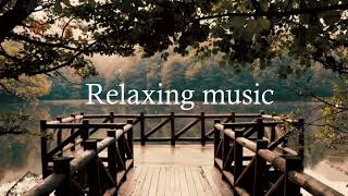 Not Enough Overture - Hildimar Priti - Blue Music-Hits Song.vol 317
