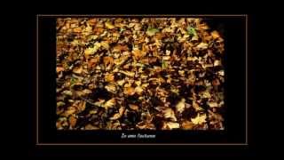 Breath of Autumn - (Dave Summers Music + Atheist Staff Only) with lyric