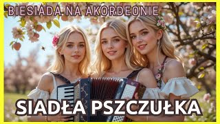 Pan Romantyk - Siadła Pszczółka – BIESIADA Nowoczesna Wersja  | Akordeon POLSKIE Szlagiery