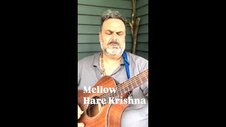 Mellow Hare Krishna inspired by Bada Haridas Prabhu