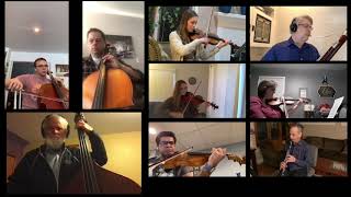Salut D'Amour (Edward Elgar) - Performed by member of the Detroit Medical Orchestra