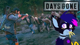 NEW CAMP WITH OLD FRIENDS