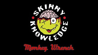 Skinny Knowledge - Monkey Wrench (Foo Fighters 'Lockdown' Cover)